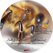 Skarbnica Zdrowia - leczenie pszczelimi użądleniami DVD
